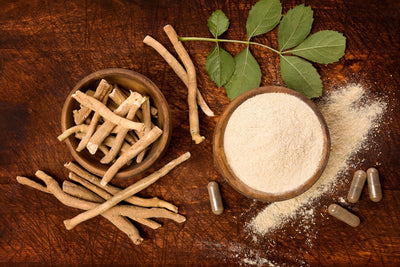 Your Complete Guide to Ashwagandha: Benefits & What to Buy (UK)