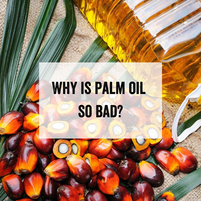 What is Palm Oil and Why is it So Bad? (Your Palm Oil Questions Answered)