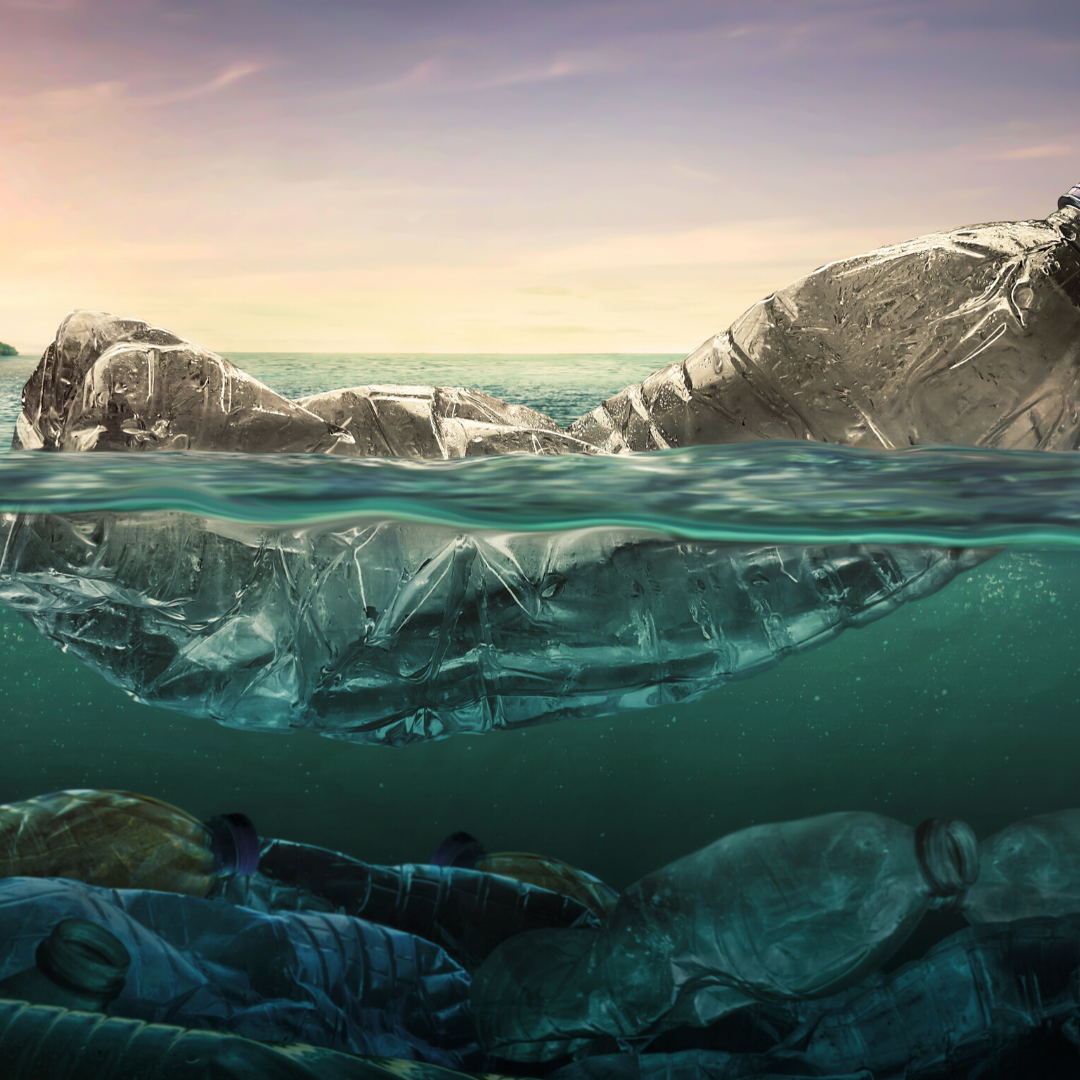 Plastic-free-Bottle-Ocean