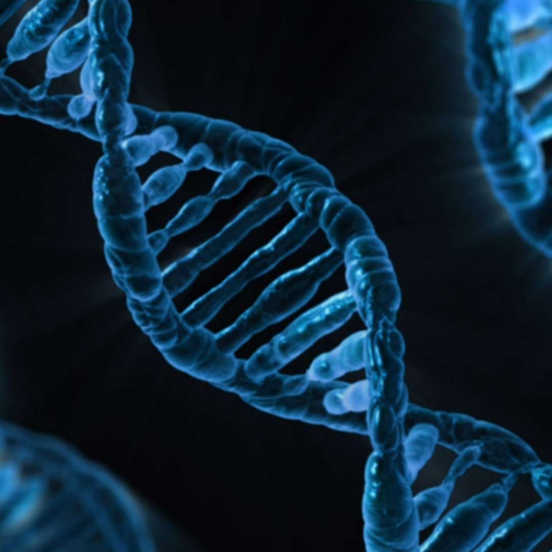 Methylation-dna-explained
