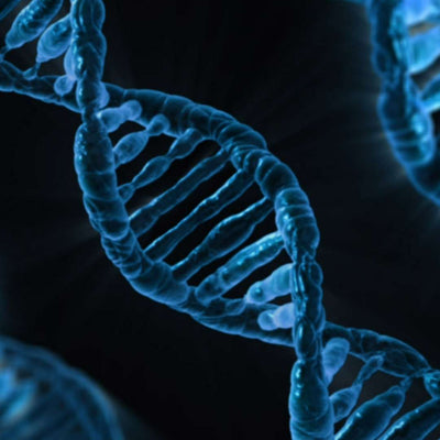 Understanding Methylation: What Is It and Why Is It Important?