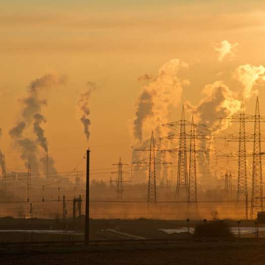air-pollution-how-to-detox