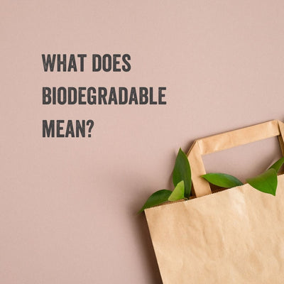 What Does Biodegradable Mean? (Biodegradable Meaning, Materials, & More Explained)