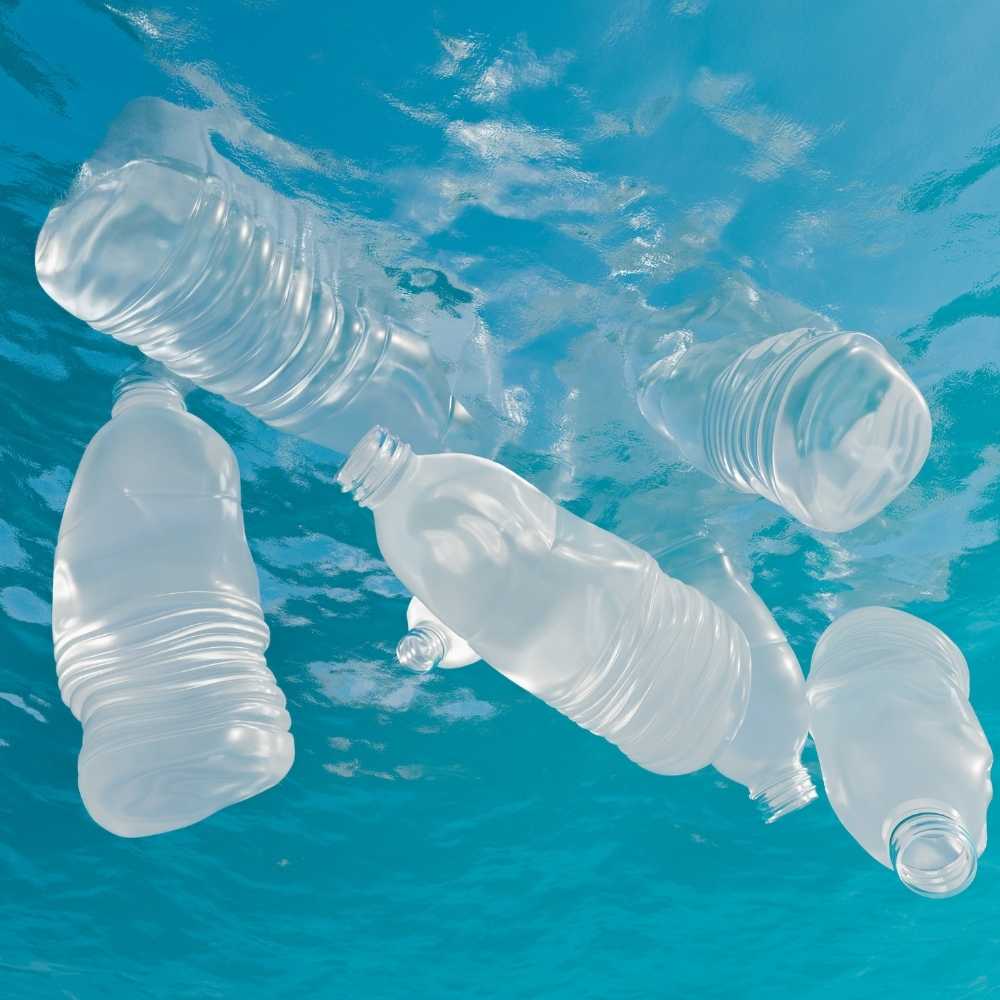 plastic-ban-harmful