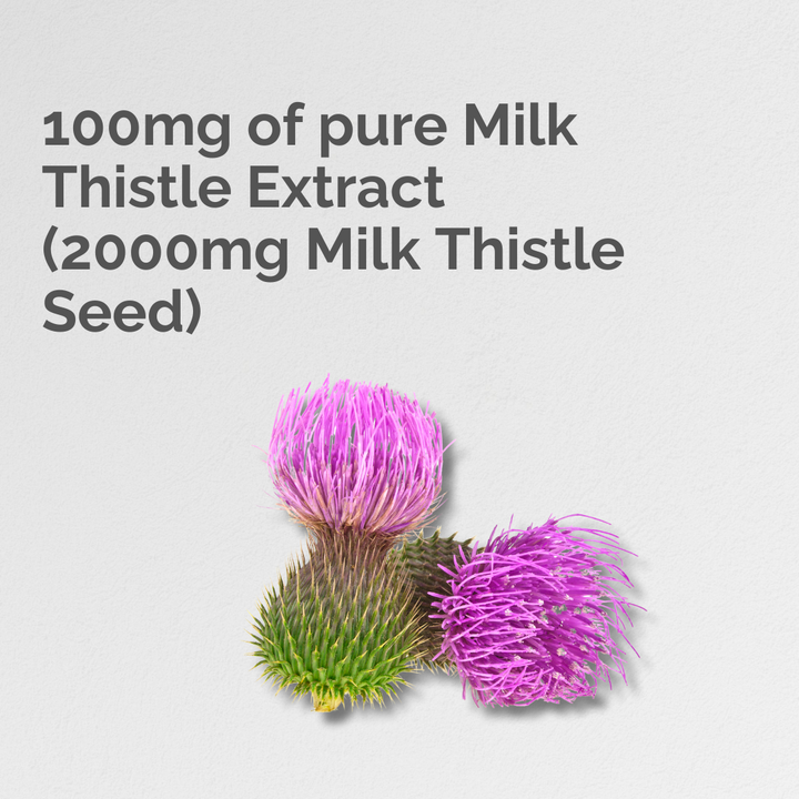 Ethical Nutrition milk thistle supplement