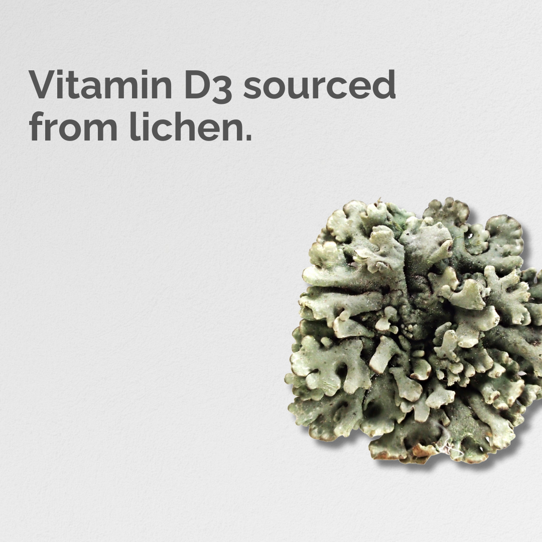 Vitamin D3 & K2