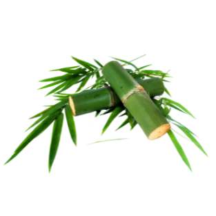 Bamboo-silica