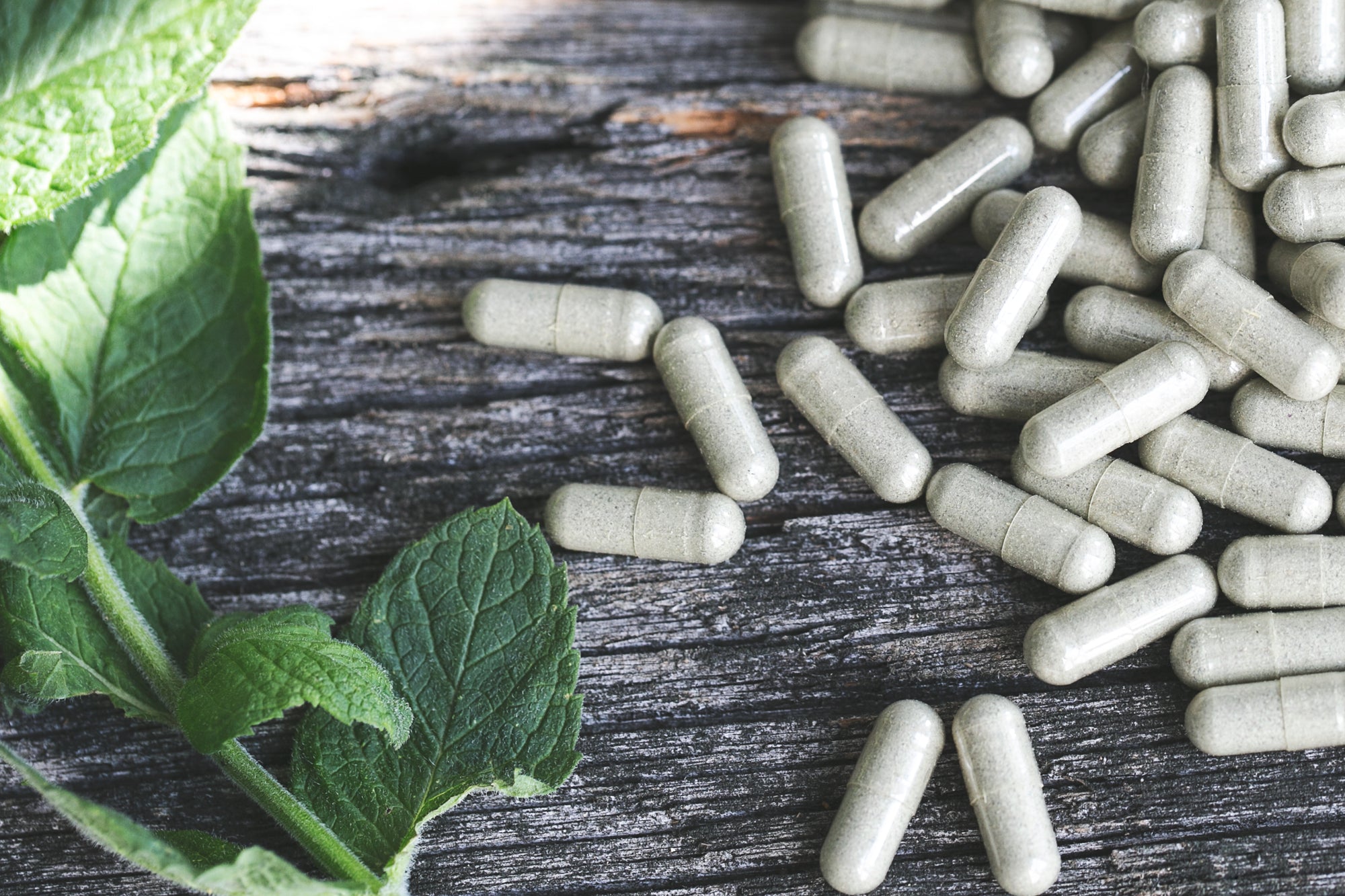 Ethical Nutrition herbal vitamin supplement