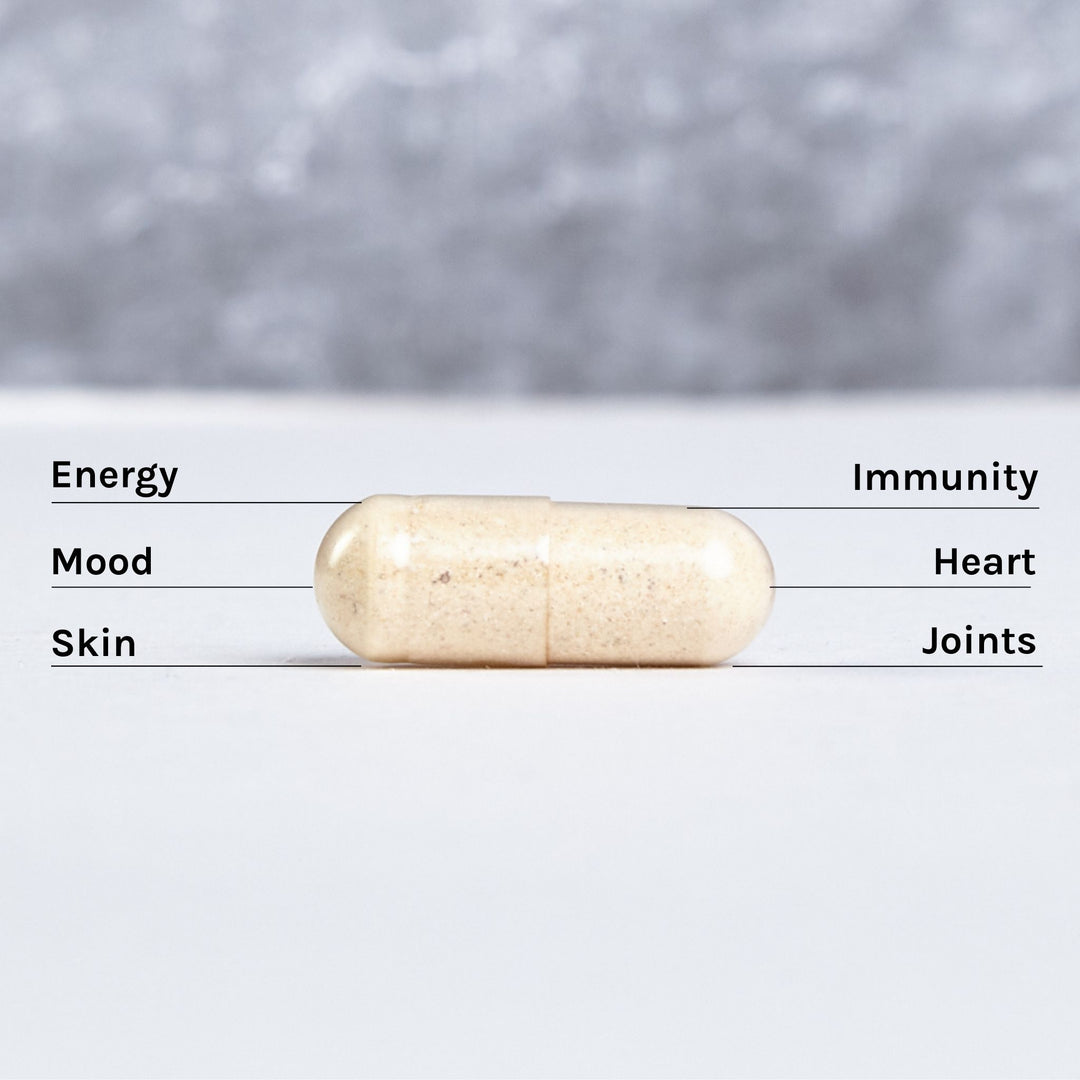 Ethical Nutrition multivitamin benefits infographic